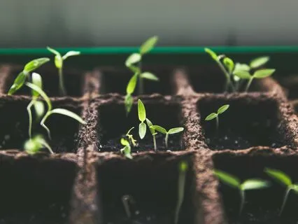 A Simple Self-Compassion Meditation Practice