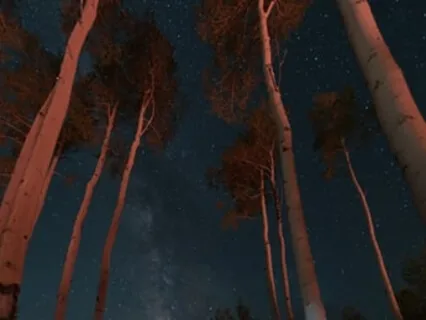 A Simple Sleep Practice