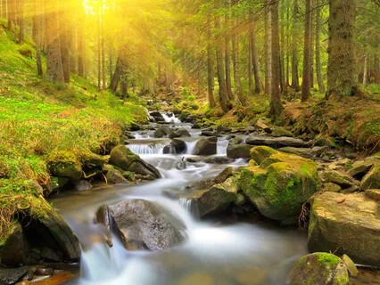 A Simple Way To Feel Peaceful