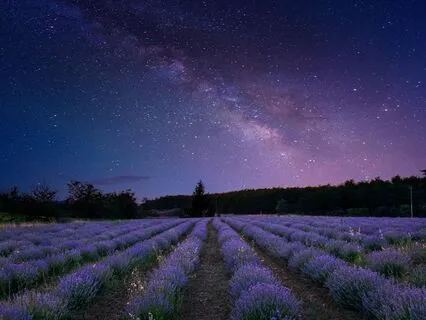 A Sleep Meditation So Deep, You’ll Become The Universe