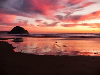 Bedtime Stories With June B - At The Beach