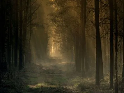 A Sleepy Journey To The Enchanting Dragon: Bedtime Tale