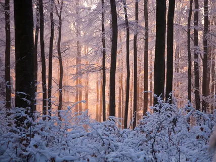 A Sliver Of Light In The Darkness