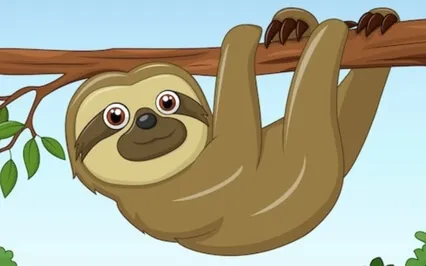 A Sloth Named Mango