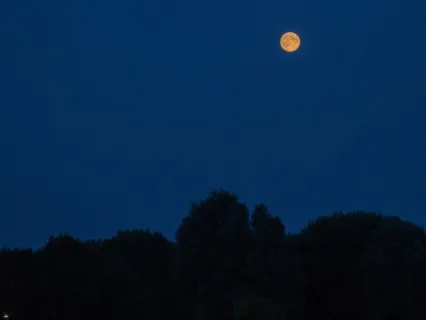 A Slow Dance With The Bedtime Fairies Sleep Meditation