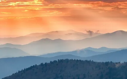 A Society Where Everyone Loves Themselves Is Devoid Of Love