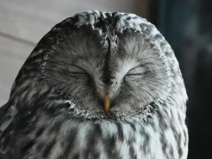 A Soft Breathing Practice To Soothe Anxiety And Find Calm