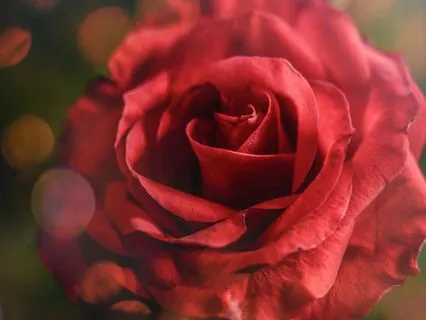 A Soft, Expansive Soundscape To Welcome The Day