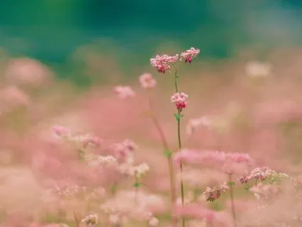 A Soft Pause Before Change