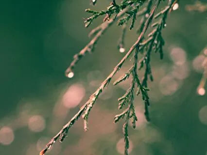 A Soft Pause Between Moments