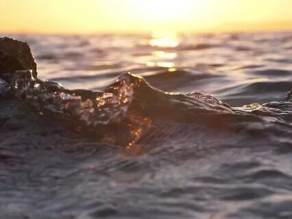 A Soft Return: Guided Grounding For Survivors