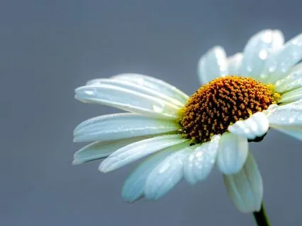 A Soft Start: EFT To Ease Anxiety About The Day Ahead