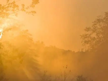 A Soft Start To Your Day — Ground, Breathe, Begin