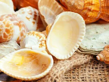 A Softer And Gentler Me