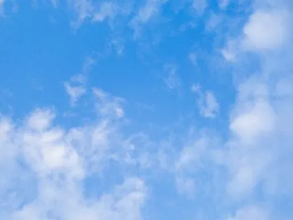 A Somatic Buddhist Meditation