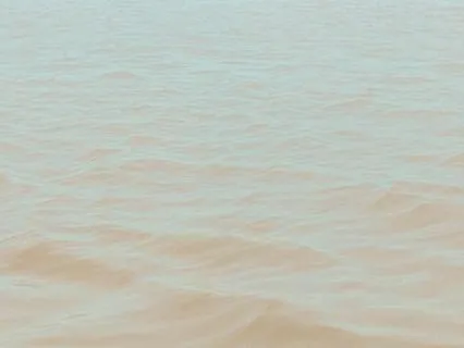 A Somatic Metta Meditation Loving-Kindness (PART 01-RECEIVE)