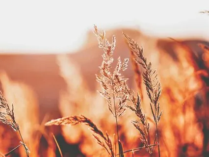 A Somatic Practice To Strengthen Your 'No' & Hold Boundaries