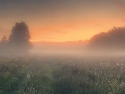 A Somatic Practice To Set Boundaries & Protect Your Energy