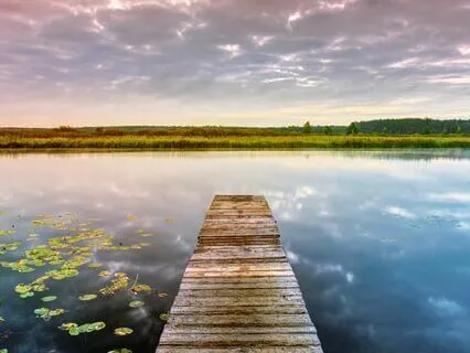 A Somatic Practice To Feel Grounded & Present