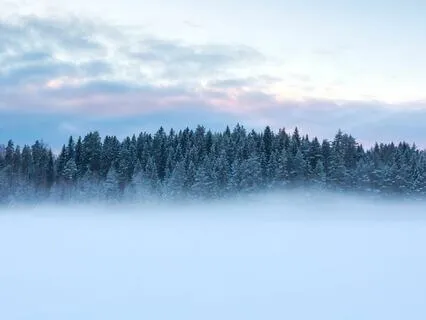 A Somatic Practice To Help Your Body Feel Safe