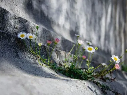 A Somatic Reset For When You Feel Invisible