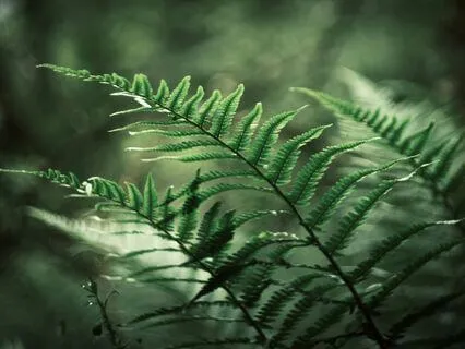 A Somatic Reset For When You Feel Numb And Far Away