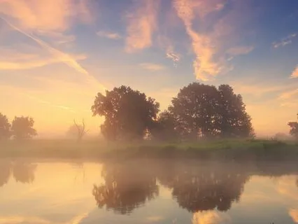 A Somatic Series: Find Safety, Calm & Presence Within