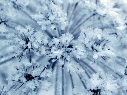 A Somatic Series: Come Out Of Freeze & Feel Alive Again