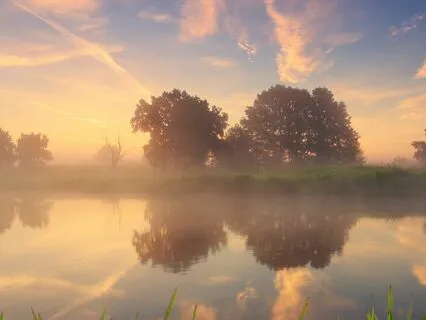 A Somatic Series: Calm Your Nervous System