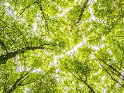 A Somatic Series: Shake Off Stress & Release Tension