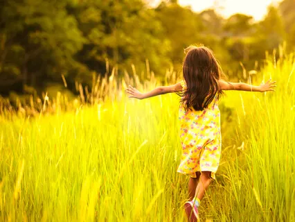 A Song For All The Lost Friends