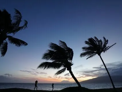 A Song In The Breeze