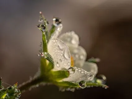 A Soothing Meditation For Anxiety Relief