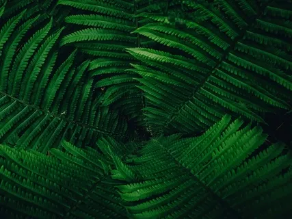 A Soul I Walk On Earth