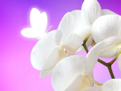 A Soul Integration Journey
