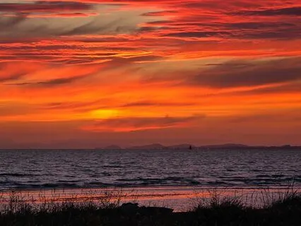 A Soulful Journey - Release Grief - Fly With Harp Song
