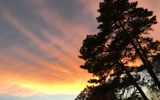 A Spacious Breathing Invitation