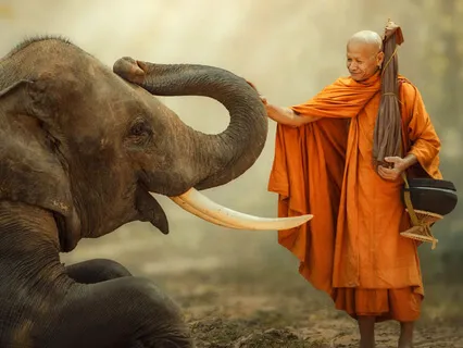 A Spiritual Journey: Mystical Meditation Music