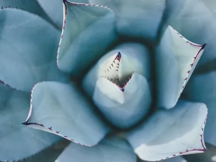 A Spoken Meditation: An Invitation To Go Deeper