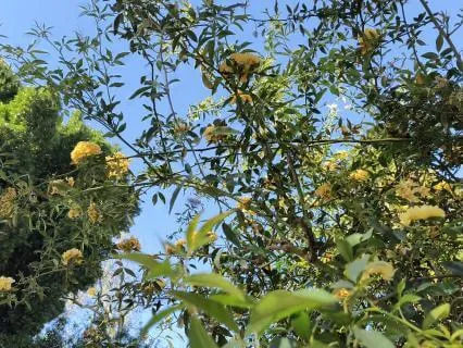 A Springtime Meditation