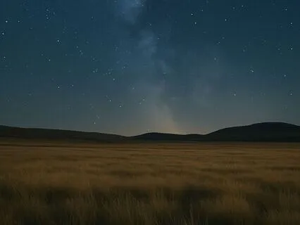 A Starry Night On The Plains
