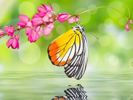  A State Of Grace (Extended Version)