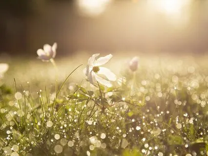 A Story To Tell Piano Meditation For Gratitude