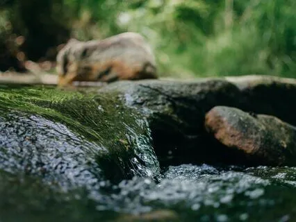 A Stroll By The Stream - Calm Piano Music