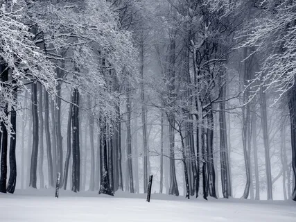 A Study In Scarlet (Sherlock Holmes) - Part 1