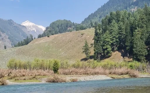 A Suggestive Healing For The Mind And Body