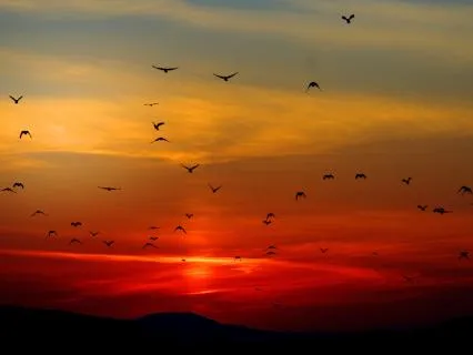 A Sunday Night Meditation For Calm Before The Week Ahead