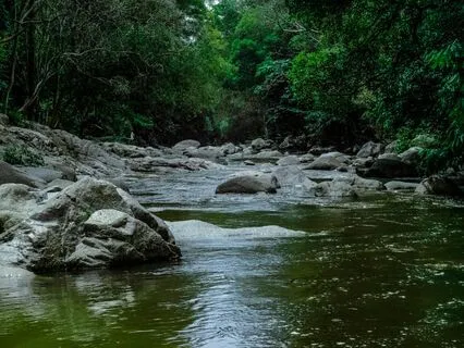 A Sunny Walk By A Yorkshire River