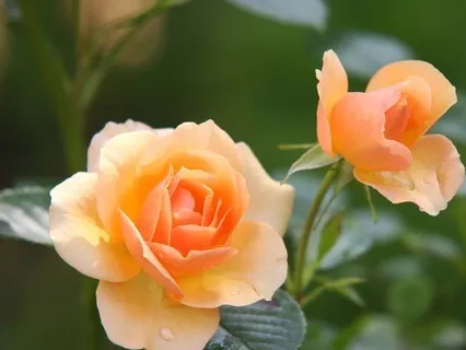 A Sweet Reminder Of How Worthy You Are