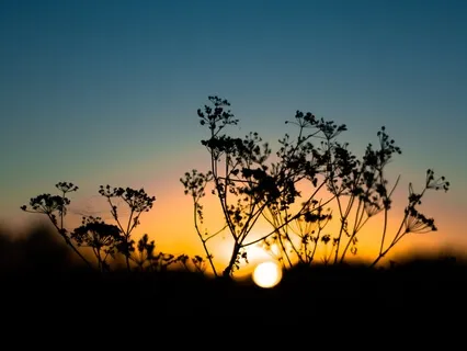 A Sweet Sweet Sleep Volume 3